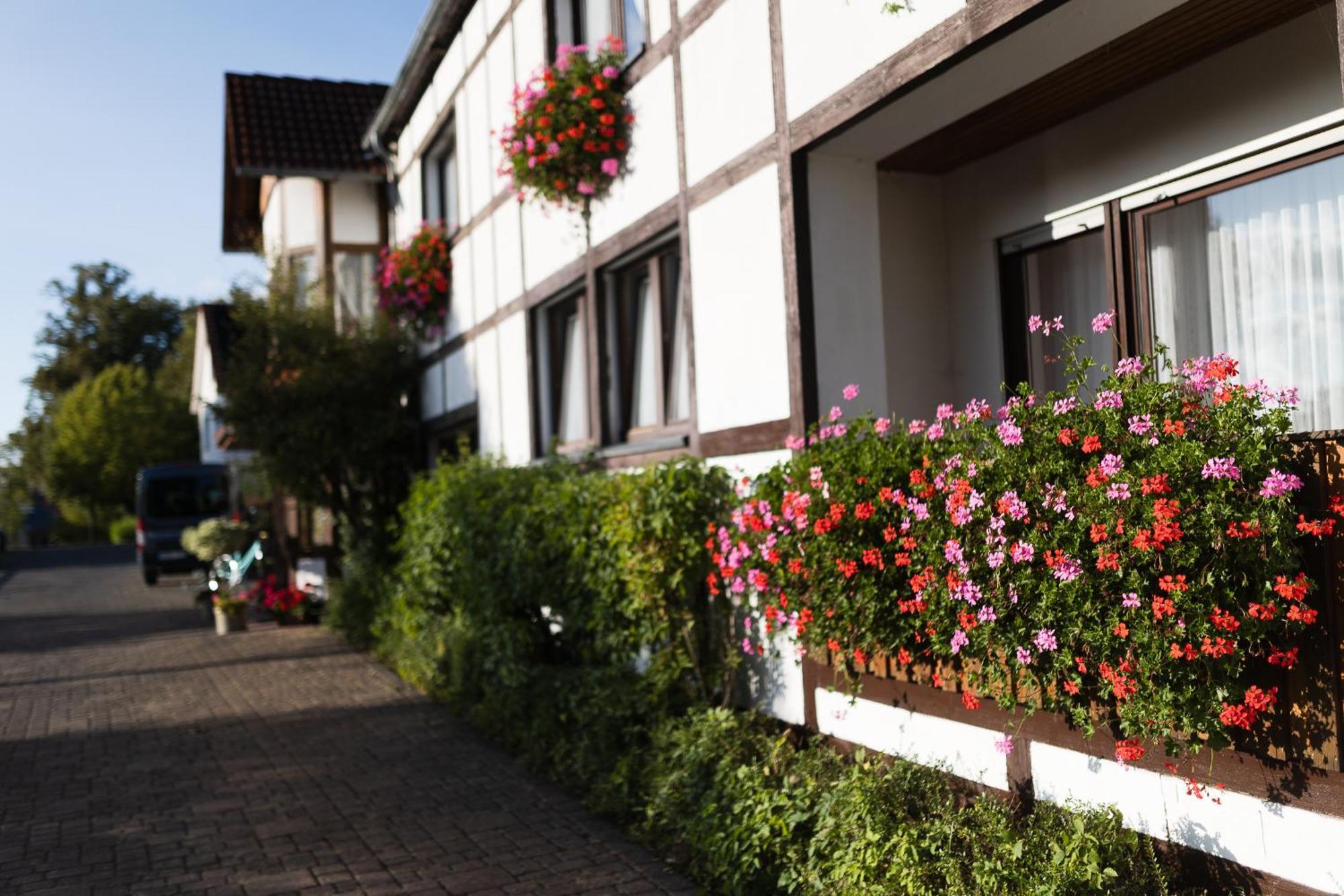 Pension Ridder Marienmünster Extérieur photo