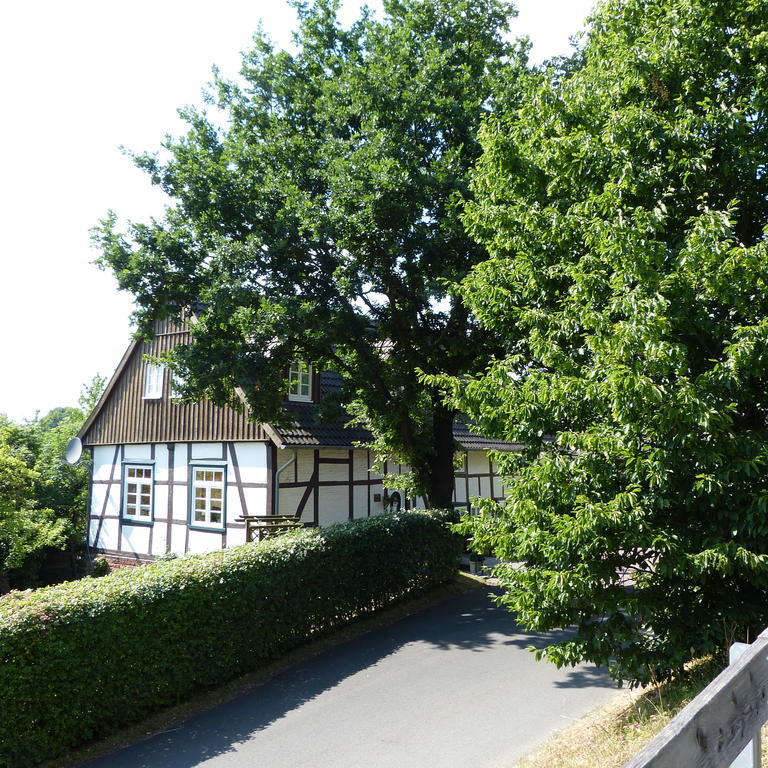 Pension Ridder Marienmünster Extérieur photo